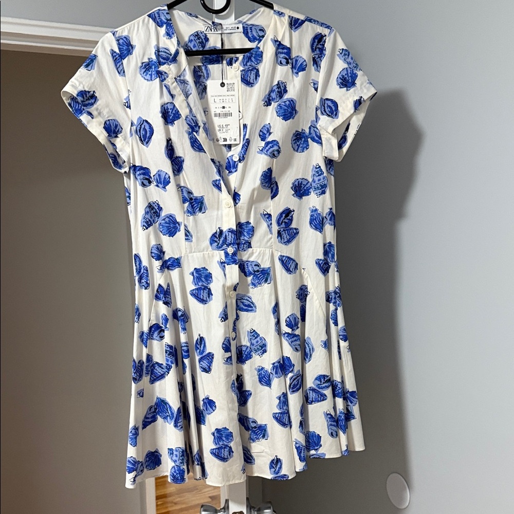 Zara Blue and White Floral Dress